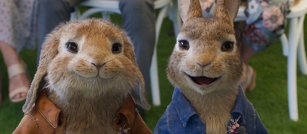 actualité Pierre lapin 2